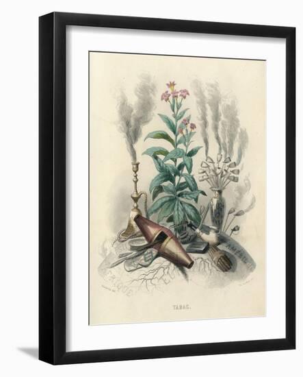 Tobacco, Grandville-null-Framed Art Print