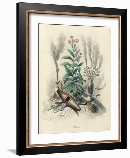 Tobacco, Grandville-null-Framed Art Print