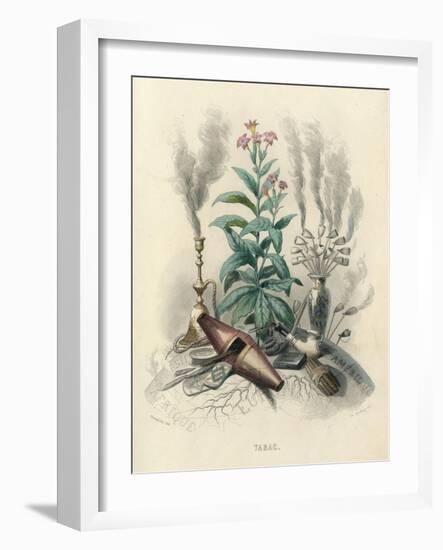 Tobacco, Grandville-null-Framed Art Print