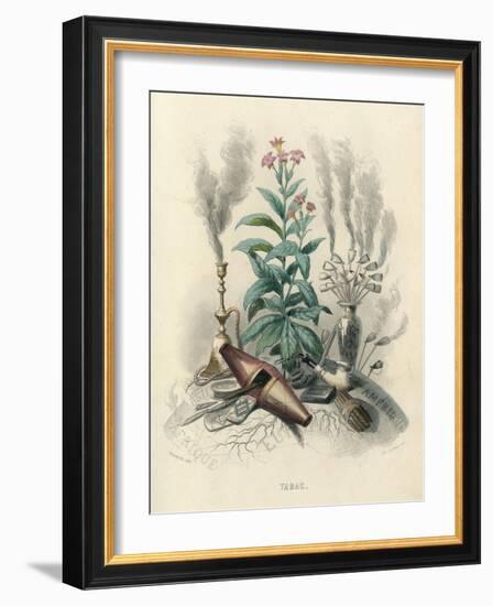 Tobacco, Grandville-null-Framed Art Print