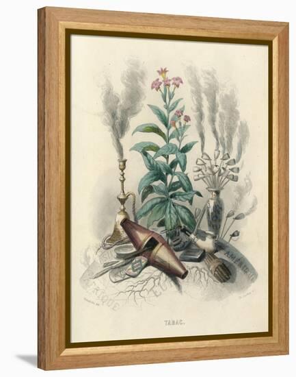 Tobacco, Grandville-null-Framed Stretched Canvas