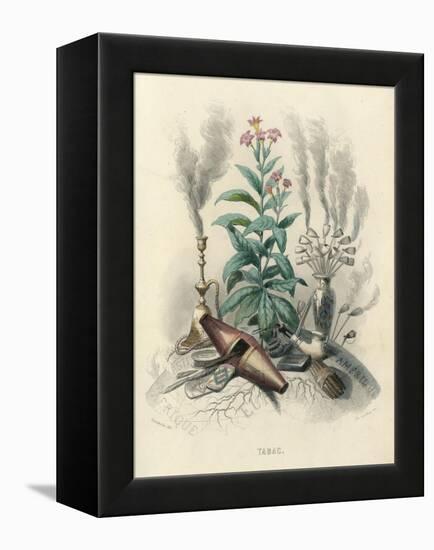 Tobacco, Grandville-null-Framed Stretched Canvas