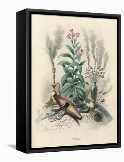 Tobacco, Grandville-null-Framed Stretched Canvas