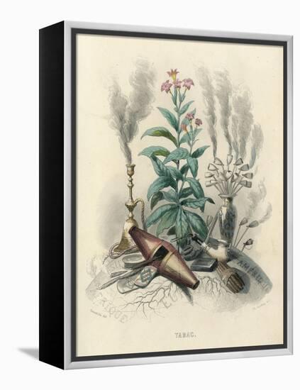 Tobacco, Grandville-null-Framed Stretched Canvas