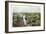 Tobacco Harvest in Shade-null-Framed Art Print