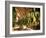 Tobacco Leaves on Racks in Drying Shed, Vinales, Cuba, West Indies, Central America-Lee Frost-Framed Photographic Print