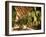 Tobacco Leaves on Racks in Drying Shed, Vinales, Cuba, West Indies, Central America-Lee Frost-Framed Photographic Print