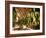 Tobacco Leaves on Racks in Drying Shed, Vinales, Cuba, West Indies, Central America-Lee Frost-Framed Photographic Print