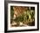 Tobacco Leaves on Racks in Drying Shed, Vinales, Cuba, West Indies, Central America-Lee Frost-Framed Photographic Print