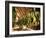 Tobacco Leaves on Racks in Drying Shed, Vinales, Cuba, West Indies, Central America-Lee Frost-Framed Photographic Print