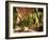 Tobacco Leaves on Racks in Drying Shed, Vinales, Cuba, West Indies, Central America-Lee Frost-Framed Photographic Print