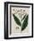 Tobacco Plant-Elizabeth Blackwell-Framed Giclee Print