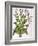 Tobacco Plant-null-Framed Giclee Print