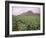 Tobacco Plantation, Cuba, West Indies, Central America-Colin Brynn-Framed Photographic Print