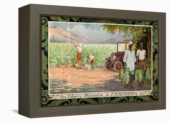 Tobacco Plantation in Southern Rhodesia, from the Series 'Smoke Empire Tobacco'-Frank Pape-Framed Premier Image Canvas