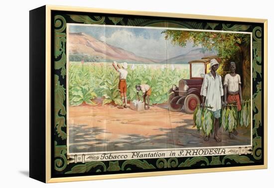 Tobacco Plantation in Southern Rhodesia, from the Series 'Smoke Empire Tobacco'-Frank Pape-Framed Premier Image Canvas