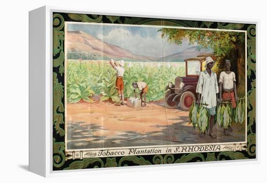 Tobacco Plantation in Southern Rhodesia, from the Series 'Smoke Empire Tobacco'-Frank Pape-Framed Premier Image Canvas