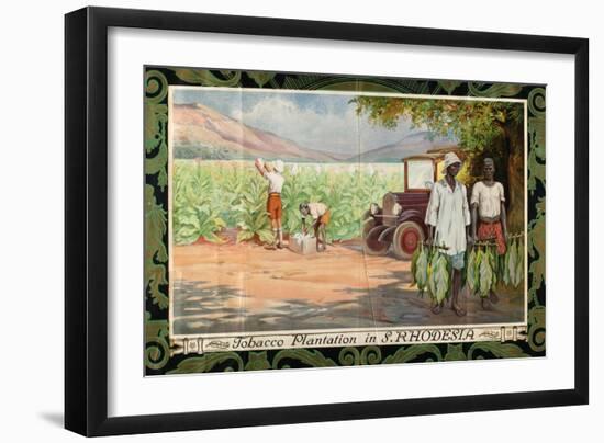 Tobacco Plantation in Southern Rhodesia, from the Series 'Smoke Empire Tobacco'-Frank Pape-Framed Giclee Print