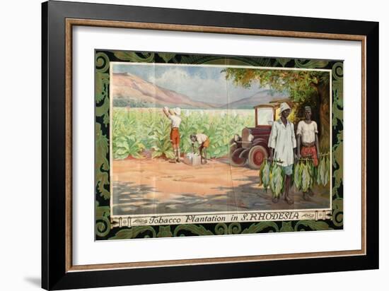 Tobacco Plantation in Southern Rhodesia, from the Series 'Smoke Empire Tobacco'-Frank Pape-Framed Giclee Print