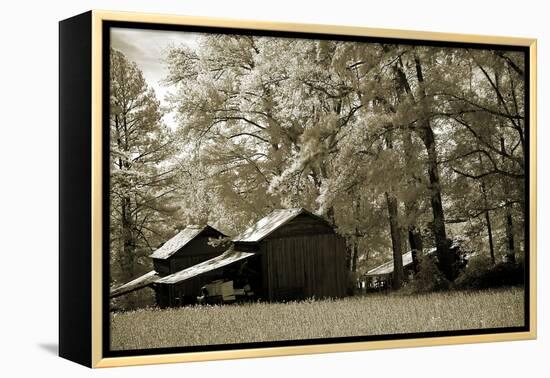 Tobacco Road-Alan Hausenflock-Framed Premier Image Canvas