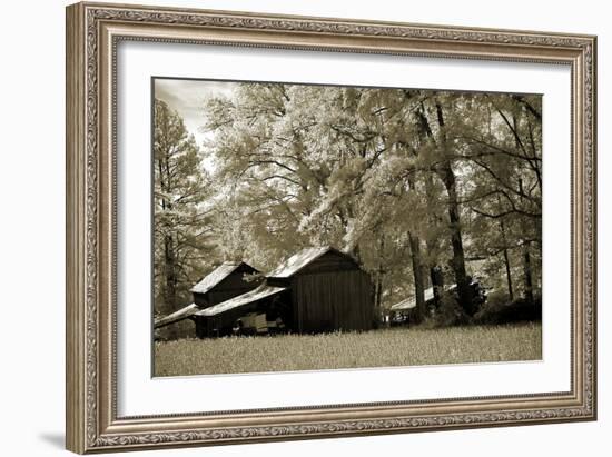 Tobacco Road-Alan Hausenflock-Framed Photographic Print