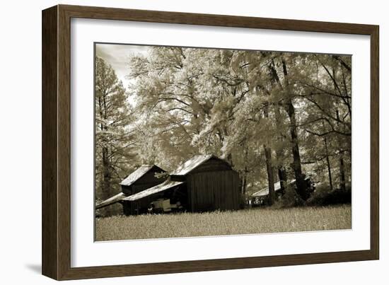 Tobacco Road-Alan Hausenflock-Framed Photographic Print