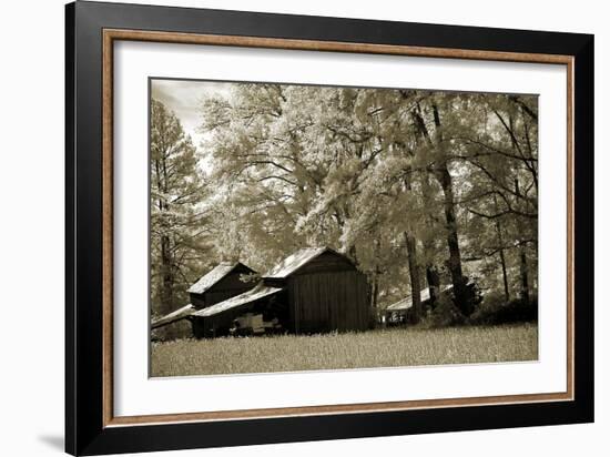 Tobacco Road-Alan Hausenflock-Framed Photographic Print