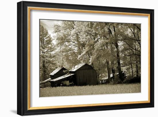 Tobacco Road-Alan Hausenflock-Framed Photographic Print