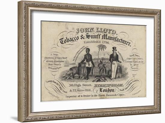 Tobacconist and Snuff Man, John Lloyd, Trade Card-null-Framed Giclee Print