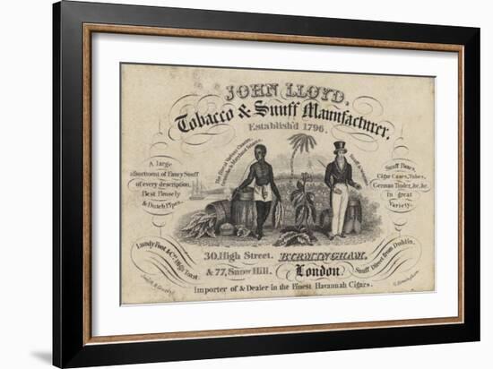 Tobacconist and Snuff Man, John Lloyd, Trade Card-null-Framed Giclee Print