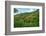 Tobago, Main Ridge Reserve. Jungle landscape on island.-Jaynes Gallery-Framed Photographic Print