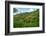 Tobago, Main Ridge Reserve. Jungle landscape on island.-Jaynes Gallery-Framed Photographic Print