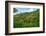 Tobago, Main Ridge Reserve. Jungle landscape on island.-Jaynes Gallery-Framed Photographic Print