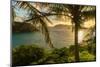 Tobago. Sunrise on island and ocean.-Jaynes Gallery-Mounted Photographic Print
