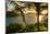 Tobago. Sunrise on island and ocean.-Jaynes Gallery-Mounted Photographic Print