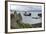 Tobermory Ferry Leaving Kinchoan, Ardnamurchan Peninsula, Highland, Scotland-Peter Thompson-Framed Photographic Print