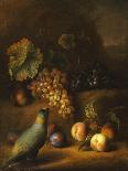 A Young Moor with a Still Life of Fruit-Tobias Stranover-Art Print