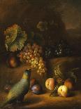 A Parrot with Grapes, Peaches and Plums in a Landscape-Tobias Stranover-Giclee Print