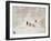 Tobogganing-Ditz-Framed Giclee Print