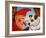 Toby and Punch, 1994-Frances Broomfield-Framed Giclee Print