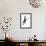 Toco black and white-Florent Bodart-Framed Giclee Print displayed on a wall