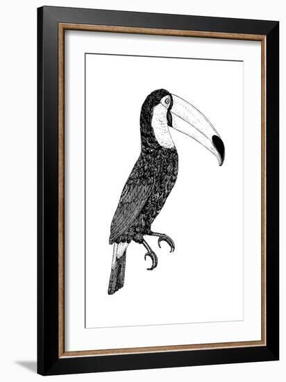 Toco black and white-Florent Bodart-Framed Giclee Print