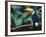 Toco Toucan in Tree, Igazu National Park, Brazil, Iguassu-Staffan Widstrand-Framed Photographic Print