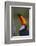 Toco Toucan (Ramphastos Toco) , Pantanal, Brazil-Hermann Brehm-Framed Photographic Print