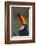 Toco Toucan (Ramphastos Toco) , Pantanal, Brazil-Hermann Brehm-Framed Photographic Print