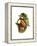 Toco Toucan-John Gould-Framed Stretched Canvas