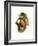 Toco Toucan-John Gould-Framed Premium Giclee Print