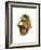 Toco Toucan-John Gould-Framed Art Print