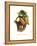 Toco Toucan-John Gould-Framed Stretched Canvas