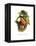 Toco Toucan-John Gould-Framed Stretched Canvas